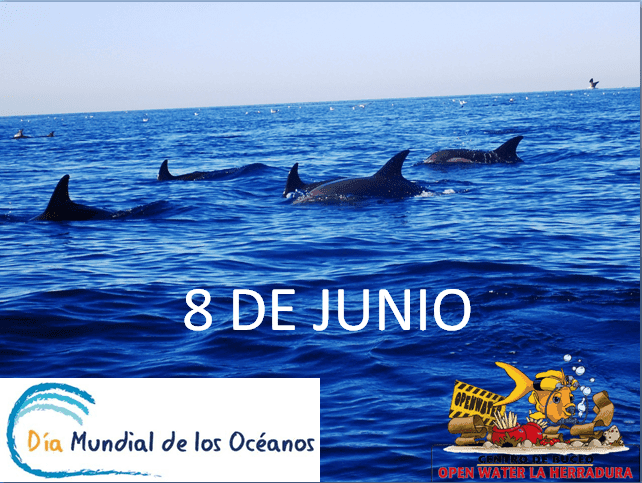 Día Mundial de los Océanos