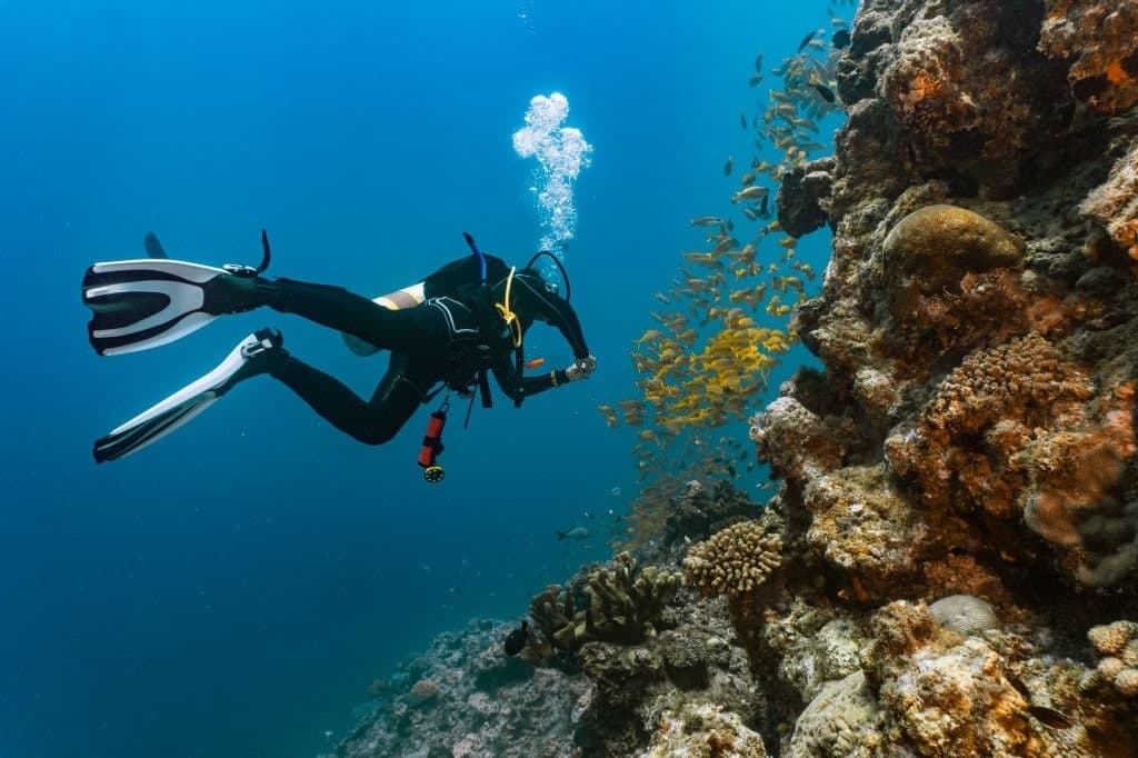 Curso de Instructor de Buceo PADI IDC