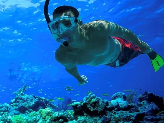 Snorkel
