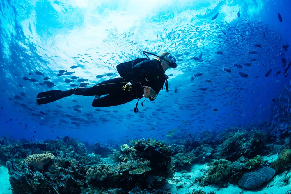 ¿Cuáles son los elementos del equipo de buceo?