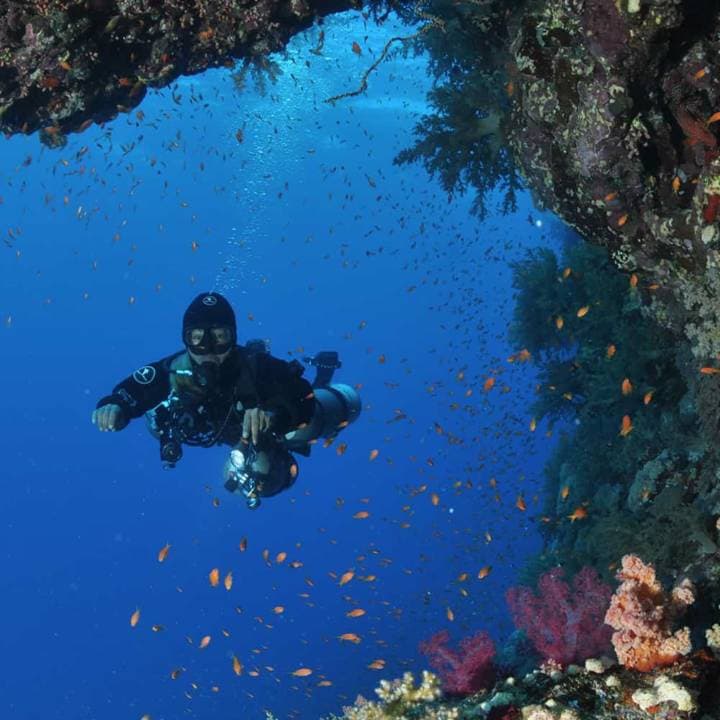 Divemaster PADI